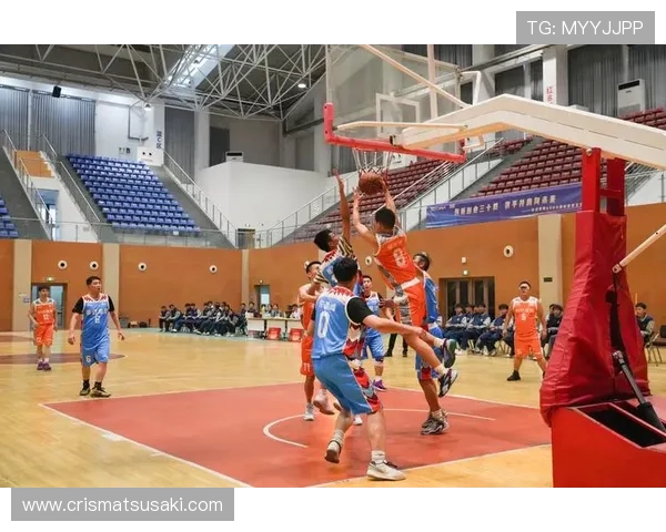 乐享体育篮球：全面提升你的篮球技能，从基础到高级技巧一站式学习体验